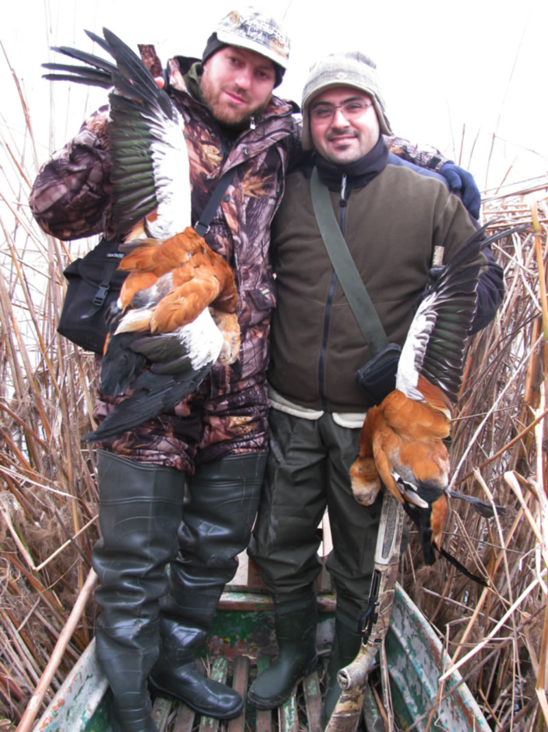 Azerbaijan — Ducks & Stone Partridge