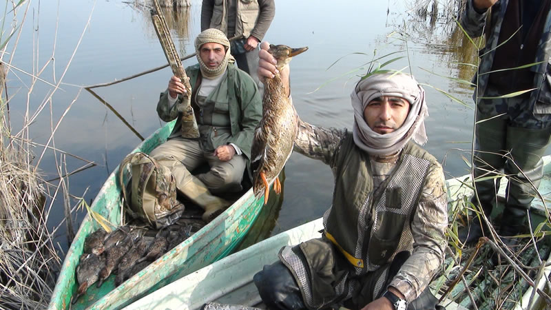 Azerbaijan — Ducks & Stone Partridge