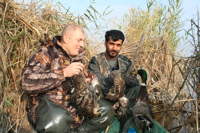 Azerbaijan — Ducks & Stone Partridge