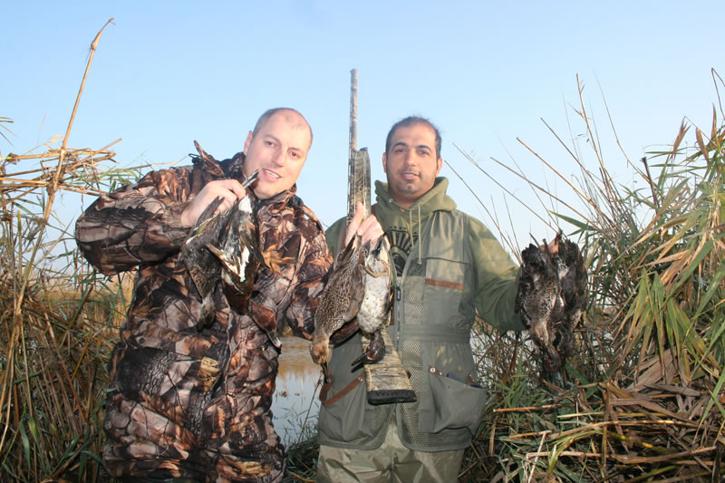 Azerbaijan — Ducks & Stone Partridge