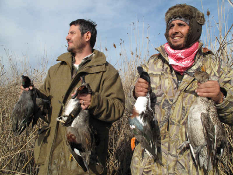 Azerbaijan — Ducks & Stone Partridge