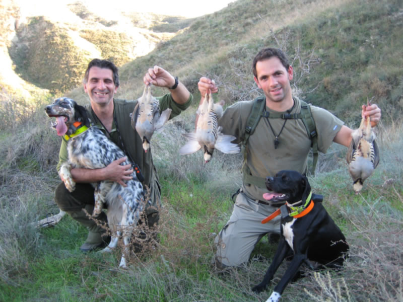 Azerbaijan — Ducks & Stone Partridge