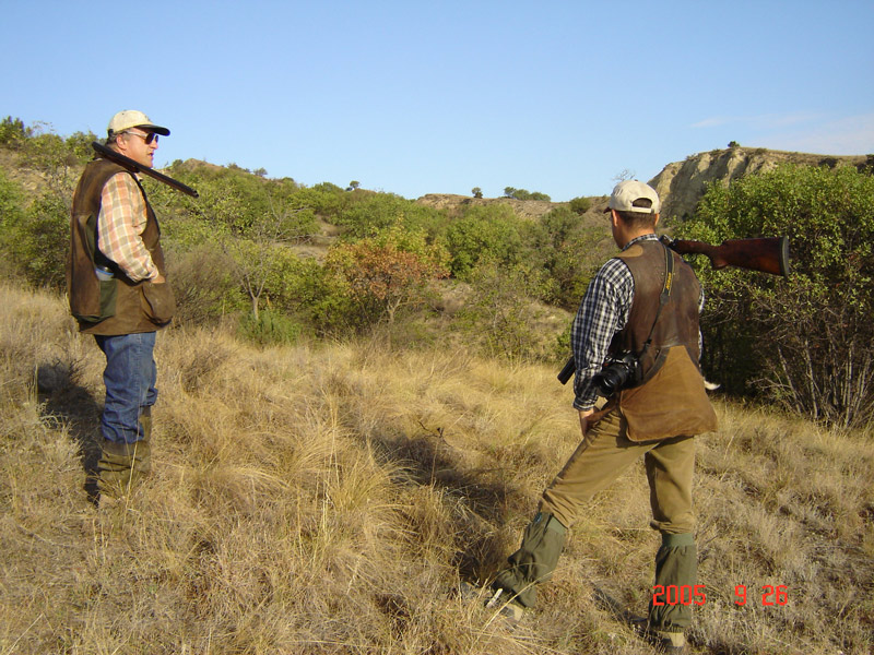 Azerbaijan — Ducks & Stone Partridge