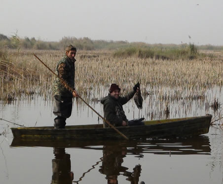 Azerbaijan — Ducks & Stone Partridge