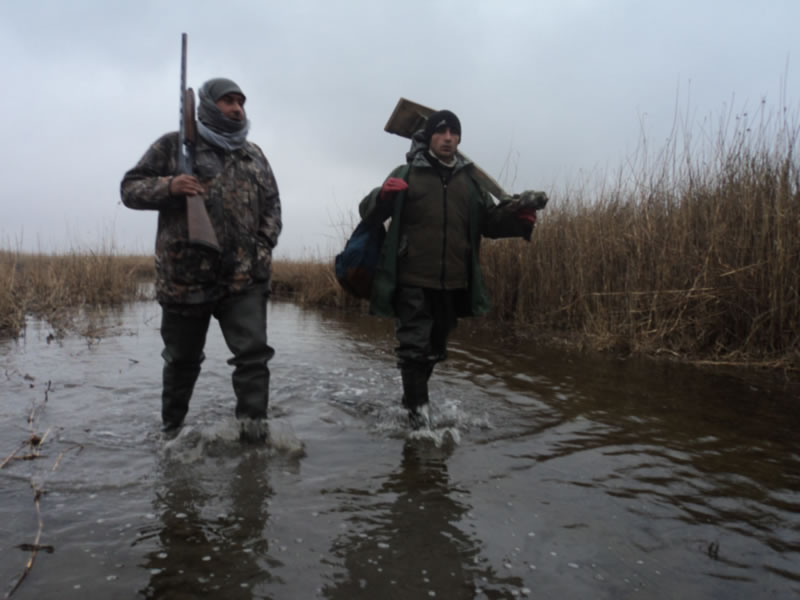Azerbaijan — Ducks & Stone Partridge