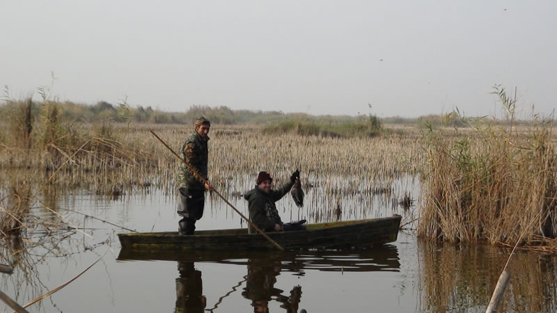 Azerbaijan — Ducks & Stone Partridge