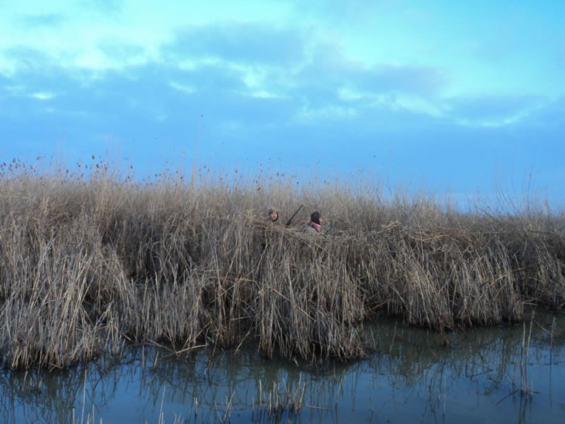 Azerbaijan — Ducks & Stone Partridge