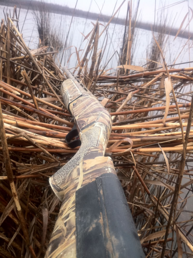 Azerbaijan — Ducks & Stone Partridge