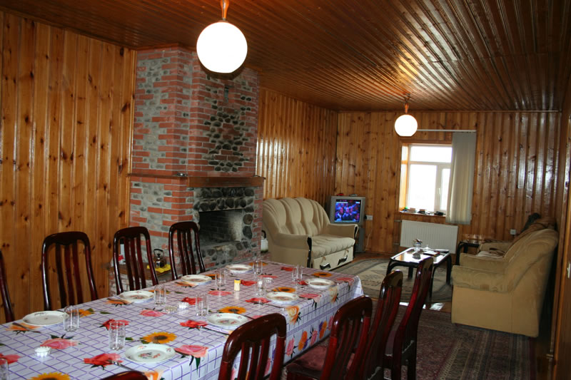 Azerbaijan — Ducks & Stone Partridge