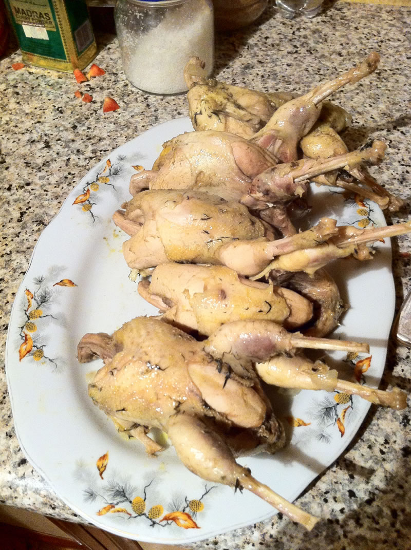 Azerbaijan — Ducks & Stone Partridge