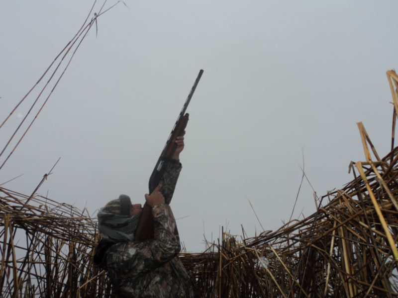 Azerbaijan — Ducks & Stone Partridge