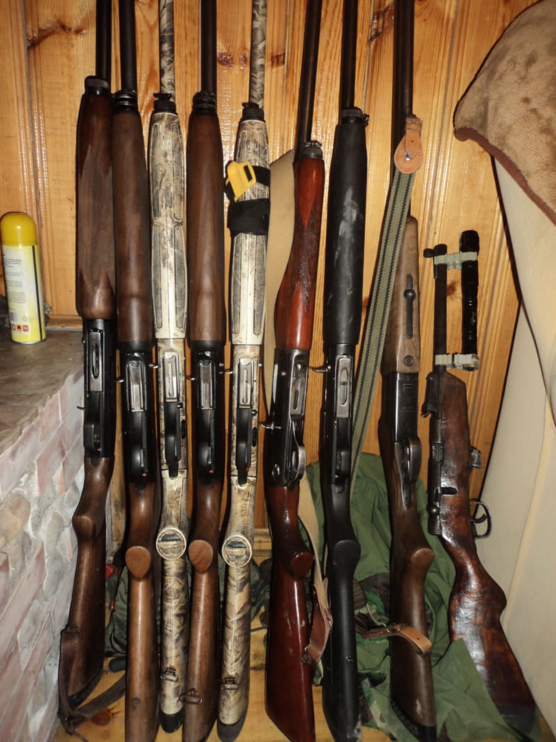 Azerbaijan — Ducks & Stone Partridge