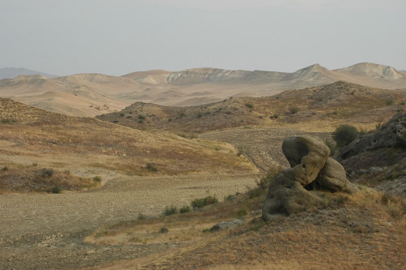 Azerbaijan — Ducks & Stone Partridge