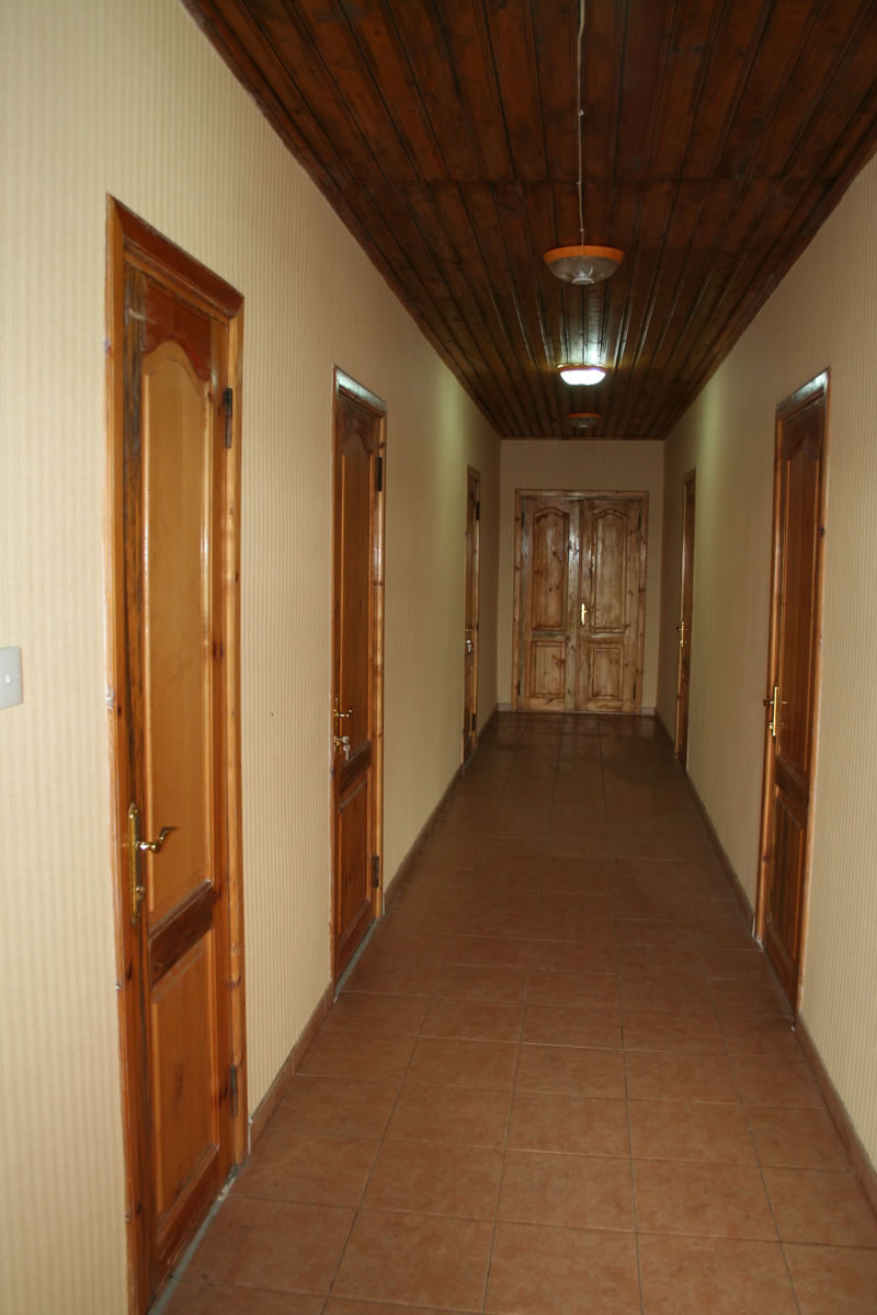 Azerbaijan — Ducks & Stone Partridge
