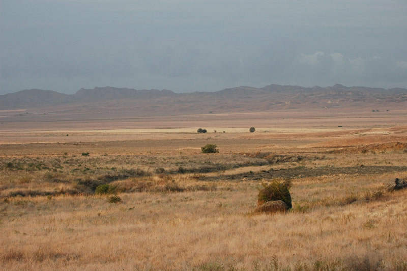 Azerbaijan — Ducks & Stone Partridge