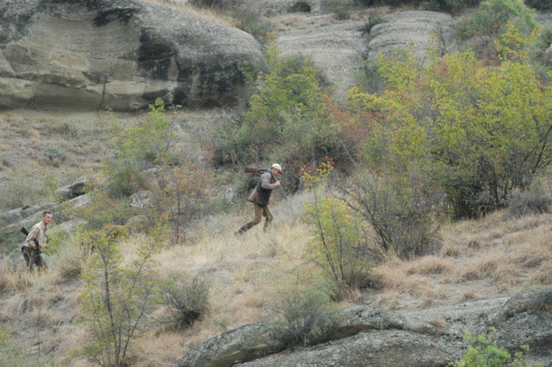 Azerbaijan — Ducks & Stone Partridge
