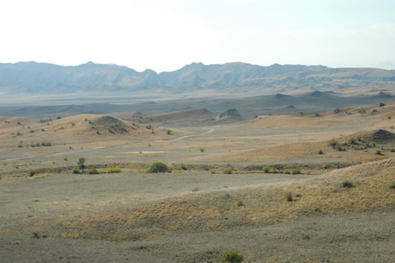 Azerbaijan — Ducks & Stone Partridge