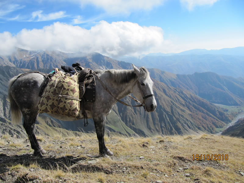 Dagestan Tur — Camp & Nature