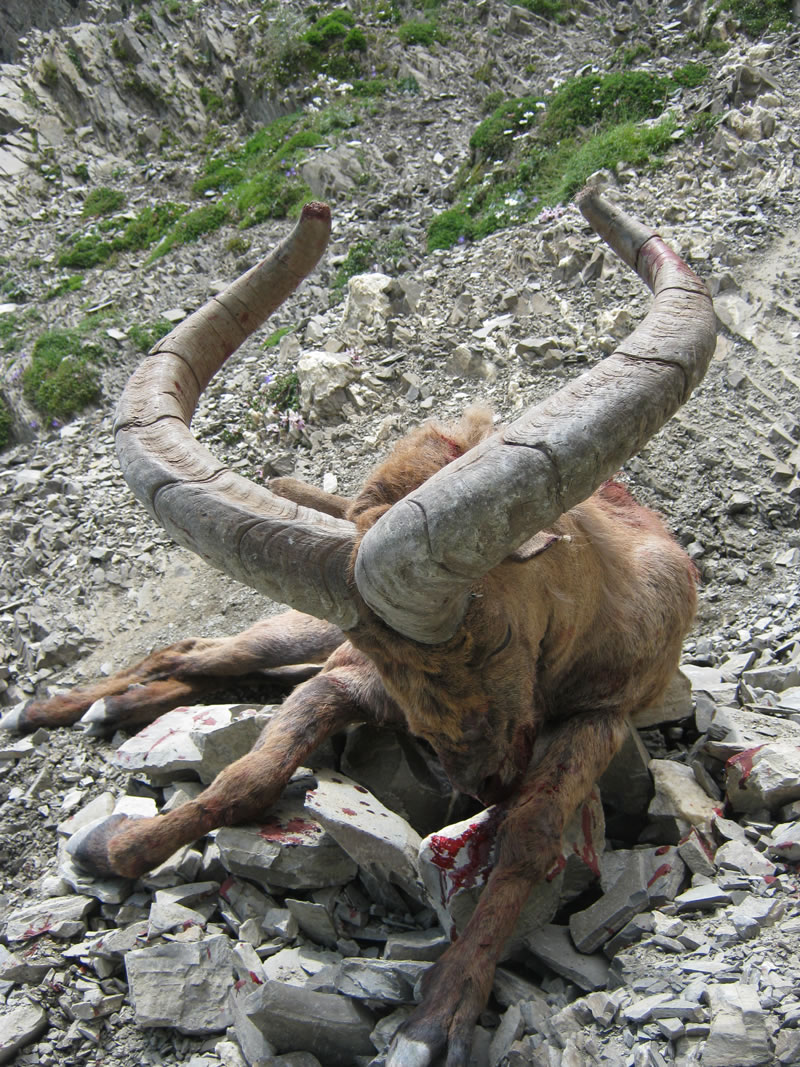 Dagestan Tur — Camp & Nature