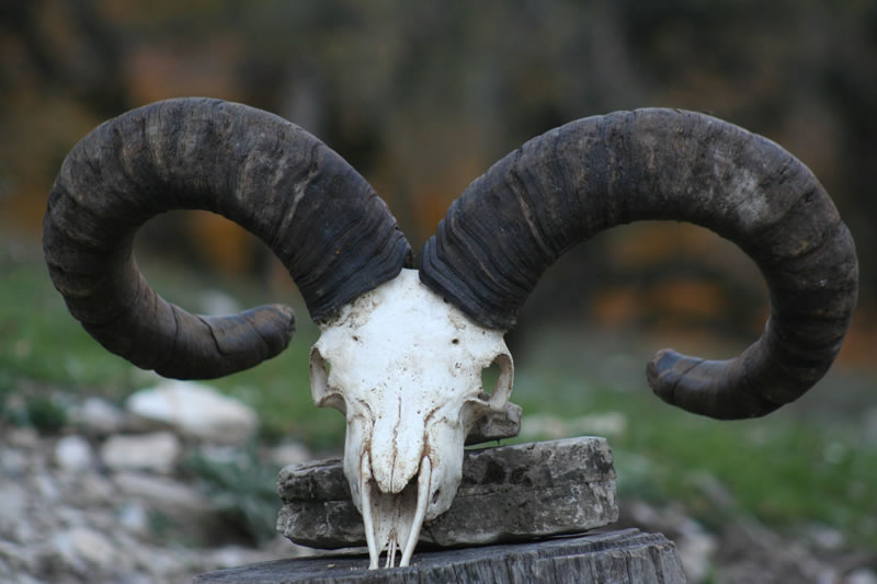 Dagestan Tur — Camp & Nature