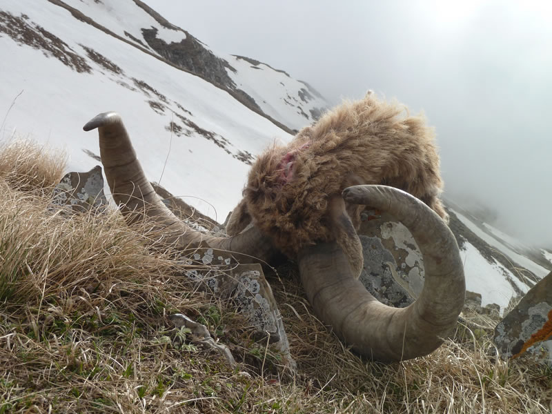Dagestan Tur — Camp & Nature