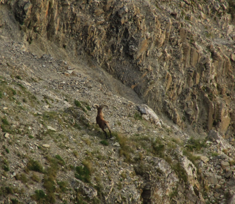 Dagestan Tur — Camp & Nature