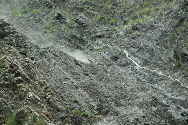 Dagestan Tur — Camp & Nature