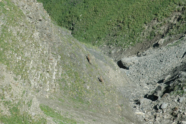 Dagestan Tur — Camp & Nature
