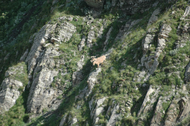 Dagestan Tur — Camp & Nature