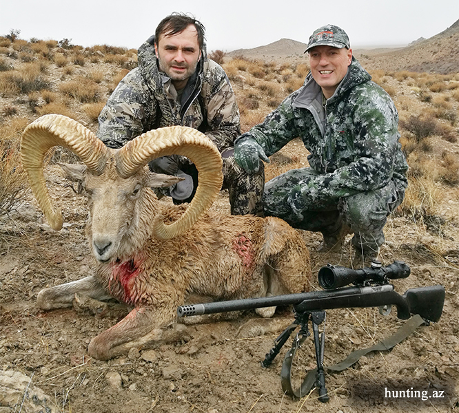 Successful hunting for Shiraz sheep in Iran by Valeriy Eliseev
