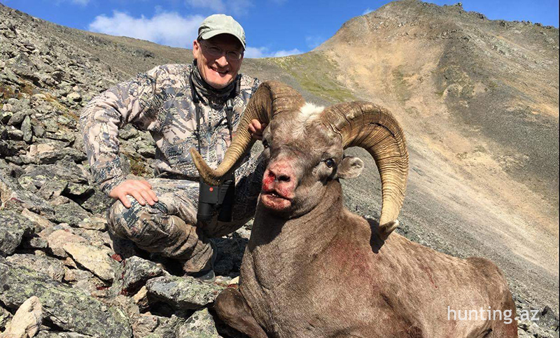 Stan Torres USA Kamchatka snow sheep