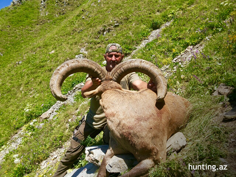 Valdez Tracy shot great Dagestan Tur