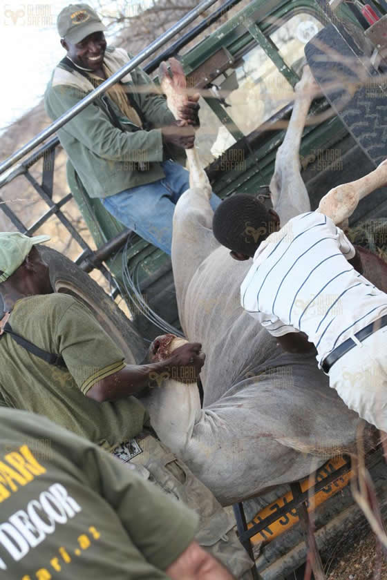 Africa