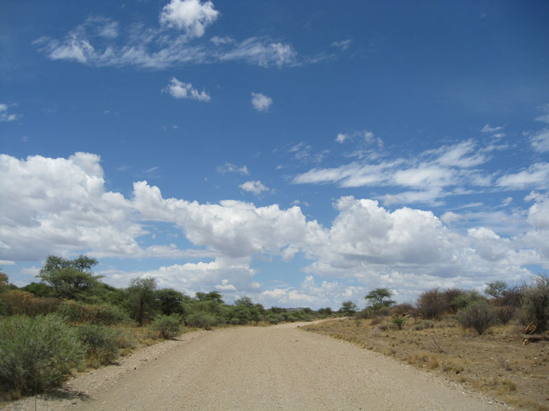 Africa