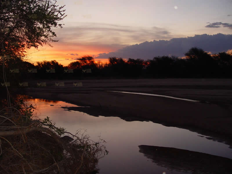 Africa