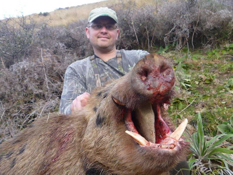 South Pacific