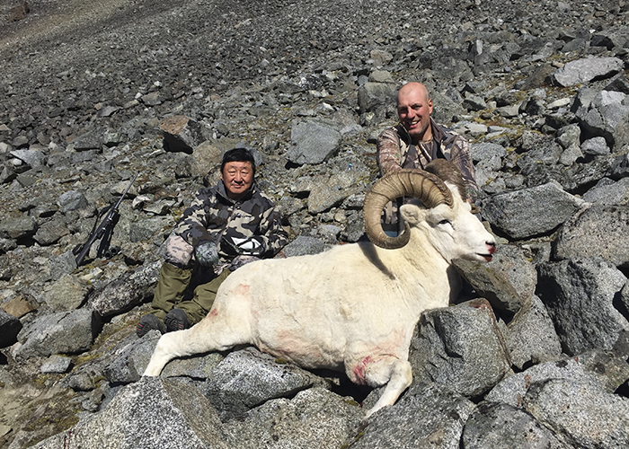 Dall sheep by Victor Kim from Russia