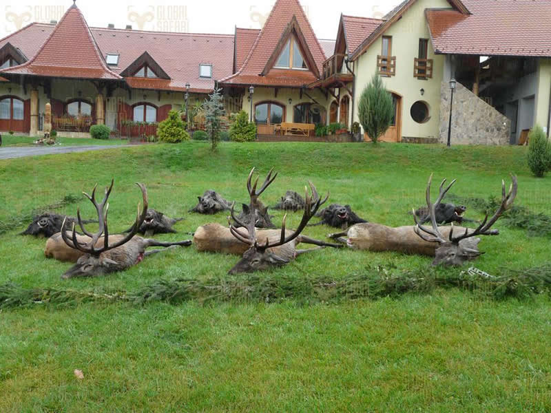 Europe