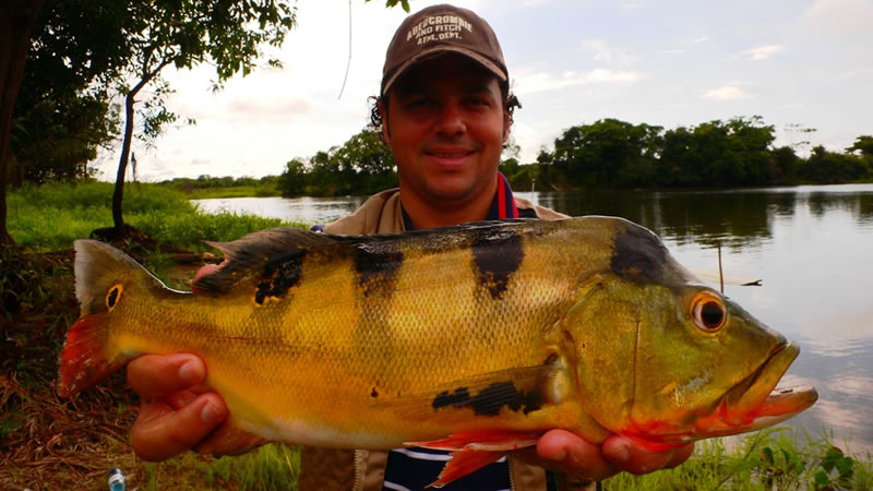 South America