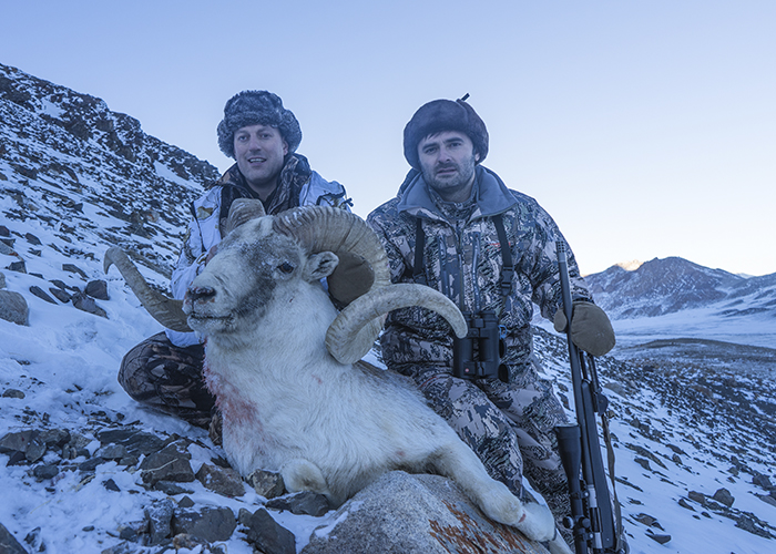 Valeriy Eliseev shot his Pamir Marco Polo