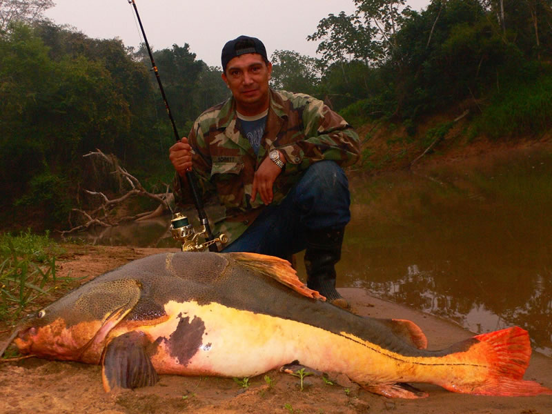 South America